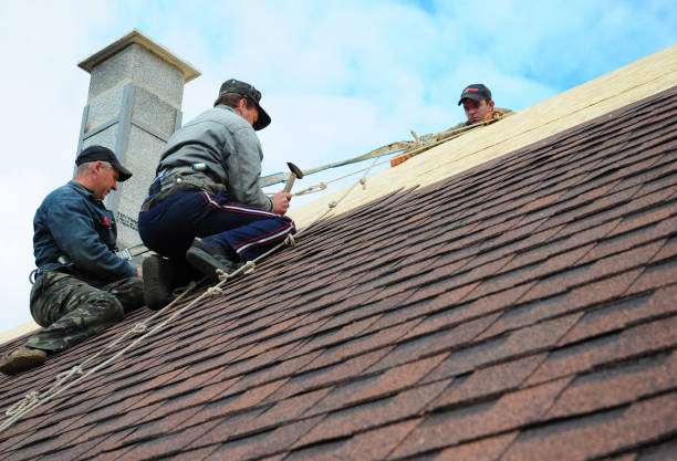 Quick and Trustworthy Emergency Roof Repair Services in Pembroke, GA